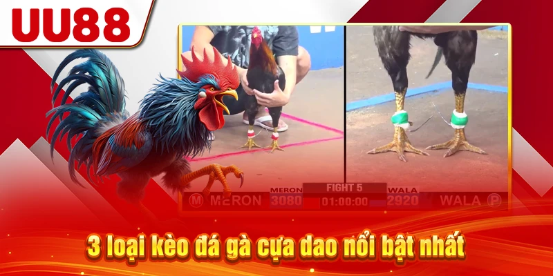 3 loại kèo đá gà cựa dao nổi bật nhất