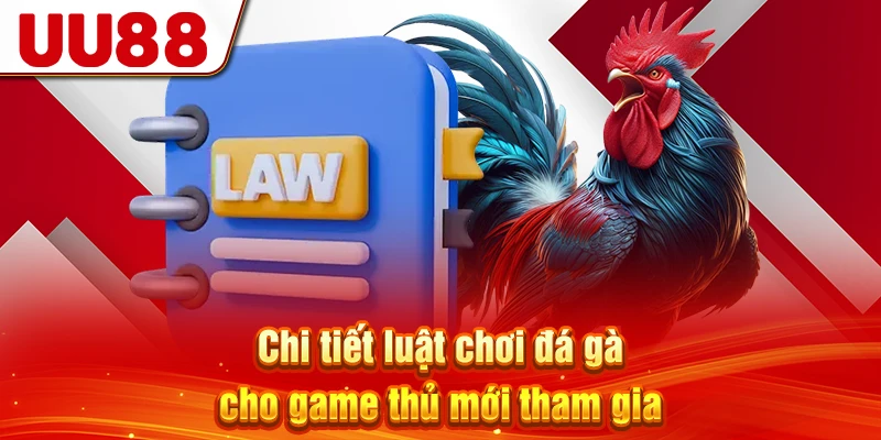 Chi tiết luật chơi đá gà cho game thủ mới tham gia