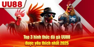 TOP 3 Hình Thức Đá Gà UU88 Được Yêu Thích Nhất 2025